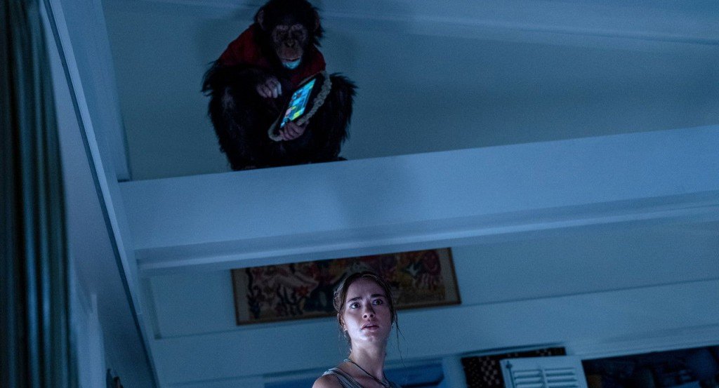 actualité Avant Première - Primate